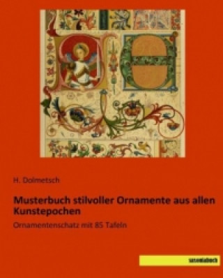 Kniha Musterbuch stilvoller Ornamente aus allen Kunstepochen H. Dolmetsch