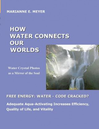 Book How Water Connects our Worlds Marianne E Meyer