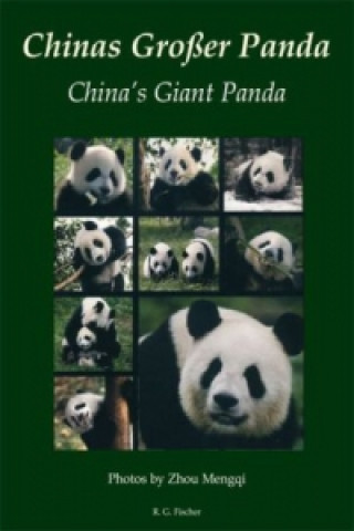 Kniha Chinas Großer Panda / China's Giant Panda Zhou Mengqi