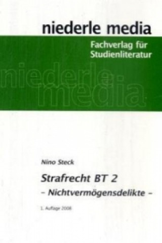 Könyv Strafrecht BT 2 - Karteikarten - 2023 Nino Steck