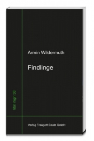 Kniha Findlinge Armin Wildermuth