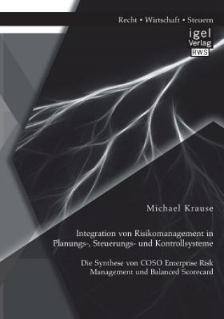 Kniha Integration von Risikomanagement in Planungs-, Steuerungs- und Kontrollsysteme Krause