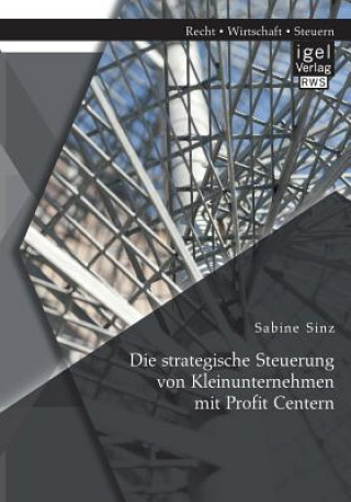 Könyv strategische Steuerung von Kleinunternehmen mit Profit Centern Sabine Sinz