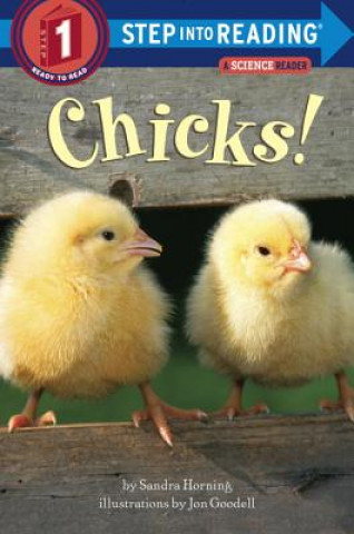 Kniha Chicks! Sandra Horning