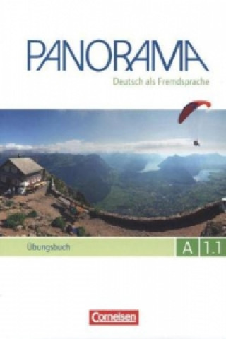 Kniha Panorama in Teilbanden Andrea Finster