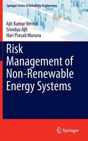 Könyv Risk Management of Non-Renewable Energy Systems Ajit Kumar Verma