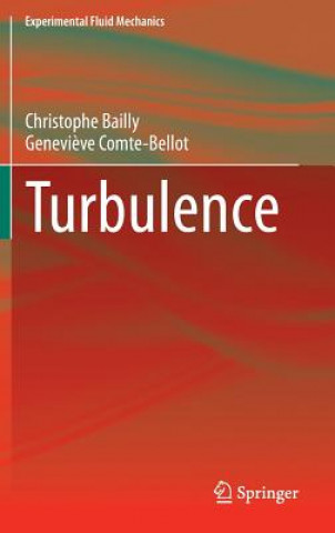 Kniha Turbulence Christophe Bailly