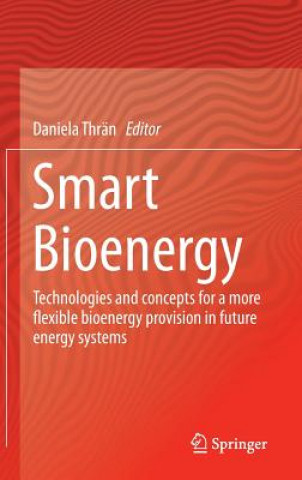 Kniha Smart Bioenergy Daniela Thrän