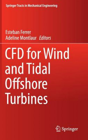 Könyv CFD for Wind and Tidal Offshore Turbines Esteban Ferrer