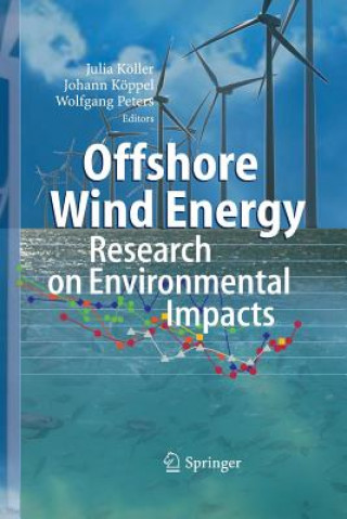 Könyv Offshore Wind Energy Julia Köller