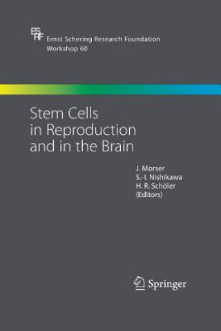 Kniha Stem Cells in Reproduction and in the Brain John Morser