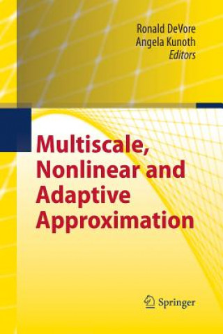 Kniha Multiscale, Nonlinear and Adaptive Approximation Ronald Devore