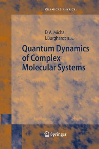 Könyv Quantum Dynamics of Complex Molecular Systems Irene Burghardt