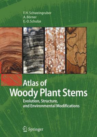Kniha Atlas of Woody Plant Stems Fritz Hans Schweingruber