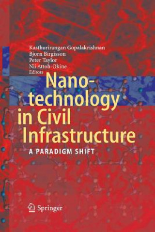 Książka Nanotechnology in Civil Infrastructure Nii O. Attoh-Okine