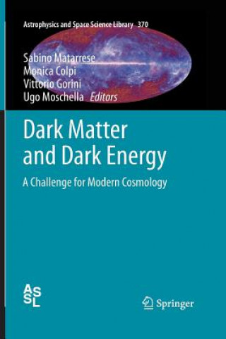 Kniha Dark Matter and Dark Energy Monica Colpi