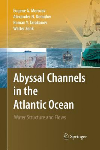 Könyv Abyssal Channels in the Atlantic Ocean Eugene G. Morozov