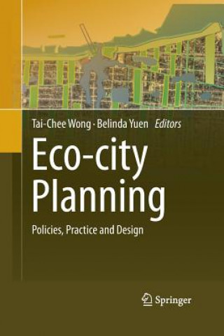 Kniha Eco-city Planning Tai-Chee Wong