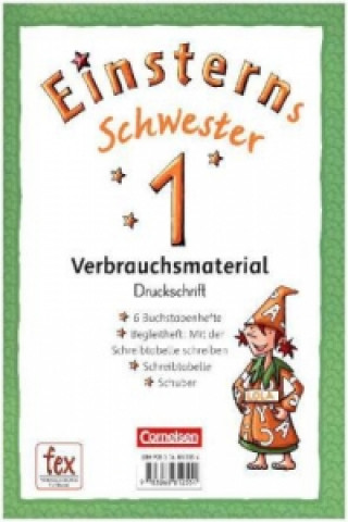 Kniha Einsterns Schwester - Erstlesen - Ausgabe 2015 - 1. Schuljahr Jutta Maurach
