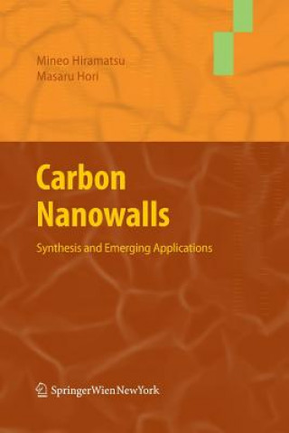 Kniha Carbon Nanowalls Mineo Hiramatsu
