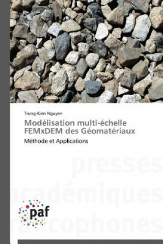 Kniha Modelisation Multi-Echelle Femxdem Des Geomateriaux Trong Hiep Nguyen