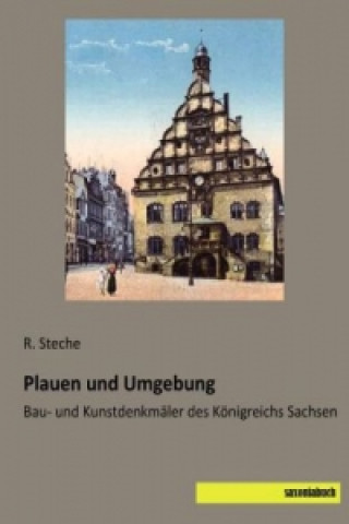 Kniha Plauen und Umgebung R. Steche