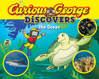 Buch Curious George Discovers the Ocean (Science Storybook) H A Rey