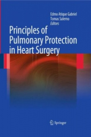 Kniha Principles of Pulmonary Protection in Heart Surgery Edmo Atique Gabriel