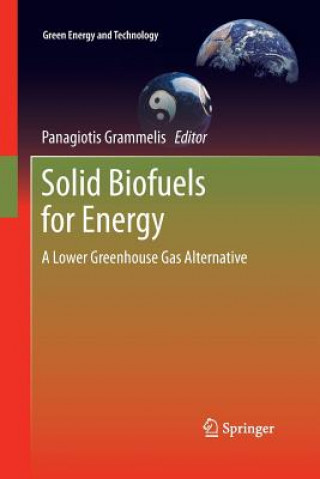 Könyv Solid Biofuels for Energy Panagiotis Grammelis