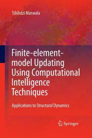 Carte Finite Element Model Updating Using Computational Intelligence Techniques Tshilidzi Marwala