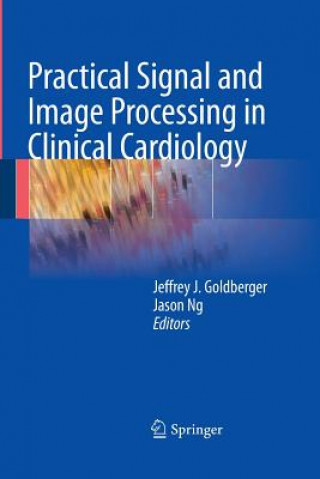 Kniha Practical Signal and Image Processing in Clinical Cardiology Jeffrey J Goldberger