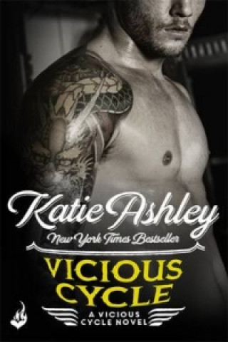 Könyv Vicious Cycle: Vicious Cycle 1 Katie Ashley
