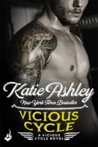 Buch Vicious Cycle: Vicious Cycle 1 Katie Ashley