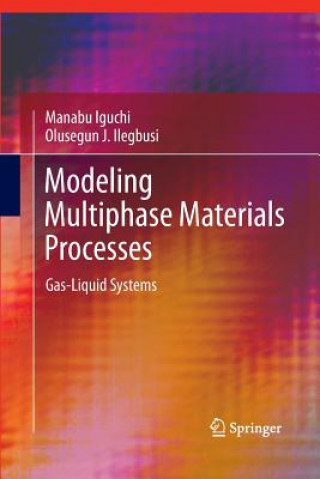 Livro Modeling Multiphase Materials Processes Manabu Iguchi