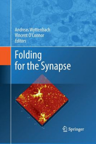 Carte Folding for the Synapse Vincent O'Connor