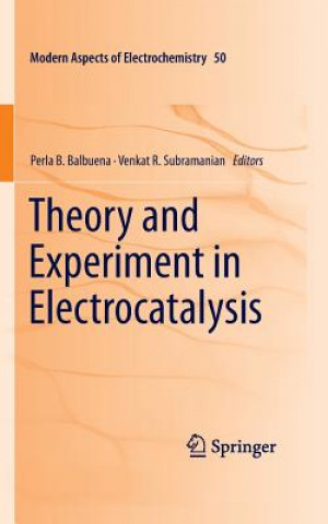 Carte Theory and Experiment in Electrocatalysis Perla B. Balbuena