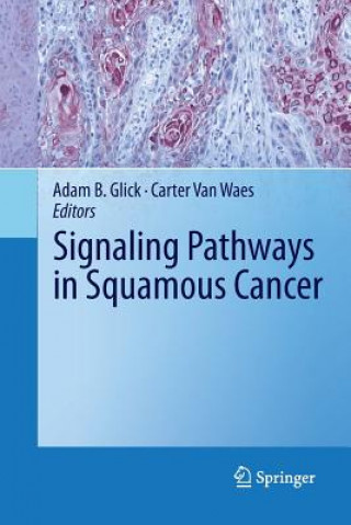 Könyv Signaling Pathways in Squamous Cancer Adam B. Glick