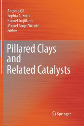 Buch Pillared Clays and Related Catalysts Antonio Gil