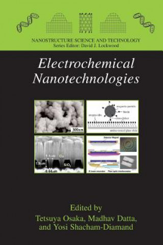 Книга Electrochemical Nanotechnologies Madhav Datta