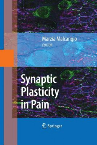 Kniha Synaptic Plasticity in Pain Marzia Malcangio