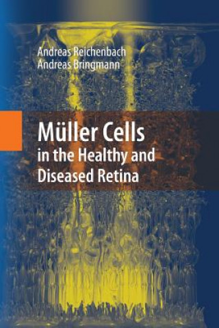 Kniha Muller Cells in the Healthy and Diseased Retina Andreas Reichenbach