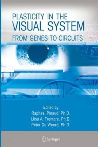 Kniha Plasticity in the Visual System Peter De Weerd