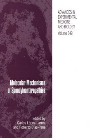 Könyv Molecular Mechanisms of Spondyloarthropathies Roberto Díaz-Pe?a