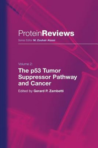 Könyv p53 Tumor Suppressor Pathway and Cancer Gerard P. Zambetti