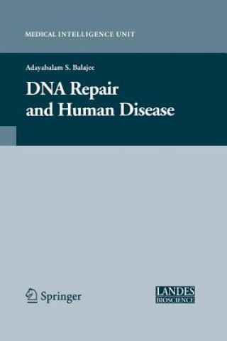 Kniha DNA Repair and Human Disease Adayabalam Balajee