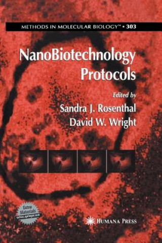 Kniha NanoBiotechnology Protocols Sandra J Rosenthal