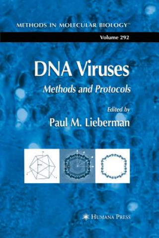 Carte DNA Viruses Paul M. Lieberman