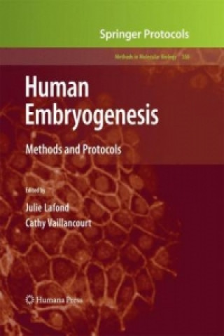 Buch Human Embryogenesis Julie Lafond