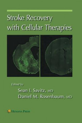 Könyv Stroke Recovery with Cellular Therapies Daniel M. Rosenbaum