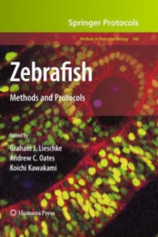 Buch Zebrafish Koichi Kawakami